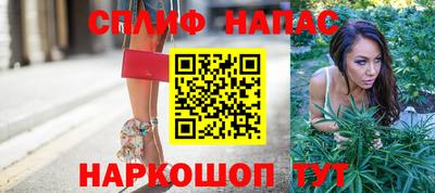 шишки Моздок