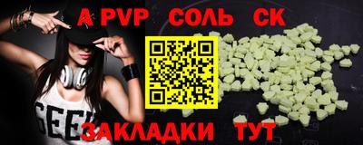 индика Можга