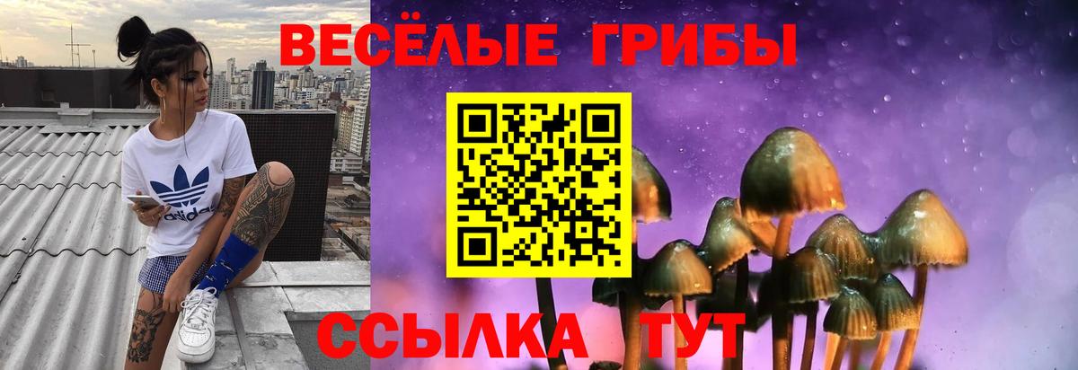Воскресенск  Галлюциногенные грибы мухоморы  Вход с VPN 